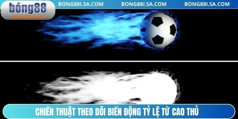 Chiến thuật theo dõi biến động tỷ lệ từ cao thủ