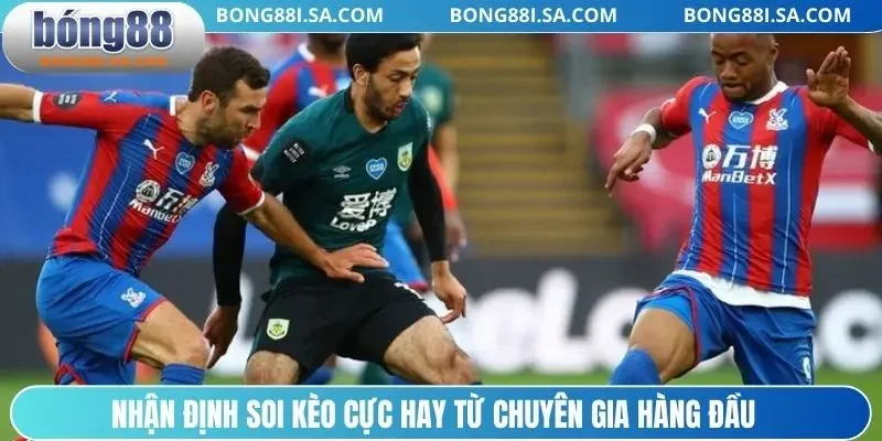 Nhận định soi kèo cực hay từ chuyên gia hàng đầu